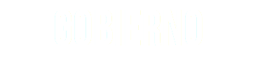 GOBIERNO