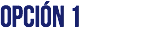 OPCIÓN 1