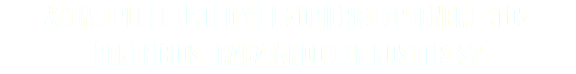 ¿Cómo puede USTED Y EL GOBIERNO obtener estos beneficios trabajando con nosotros?